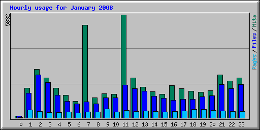 Hourly usage for January 2008