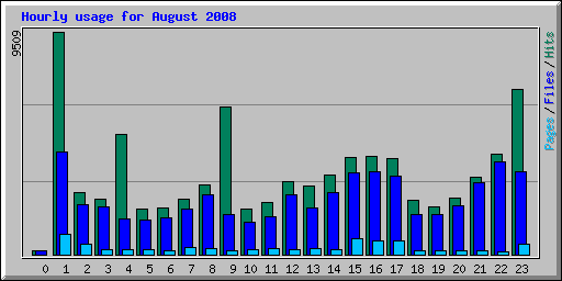Hourly usage for August 2008